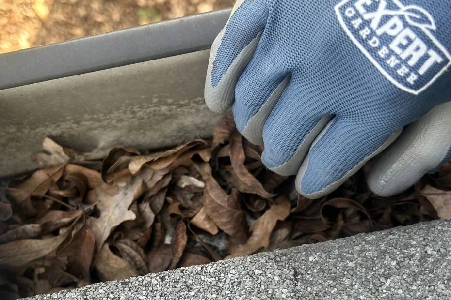 Gutter Cleaning Brookneal