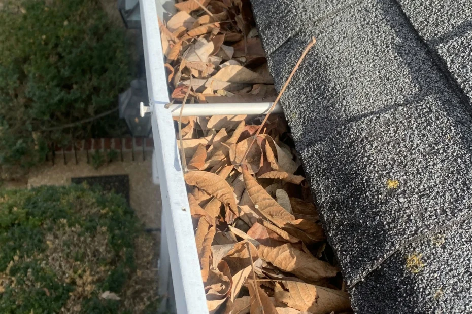 Gutter Cleaning Brookneal